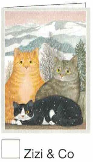 Karte Zizi & Co