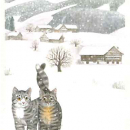 2_tigis