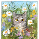 blumenwiese