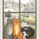 fenster