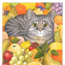 vitaminen